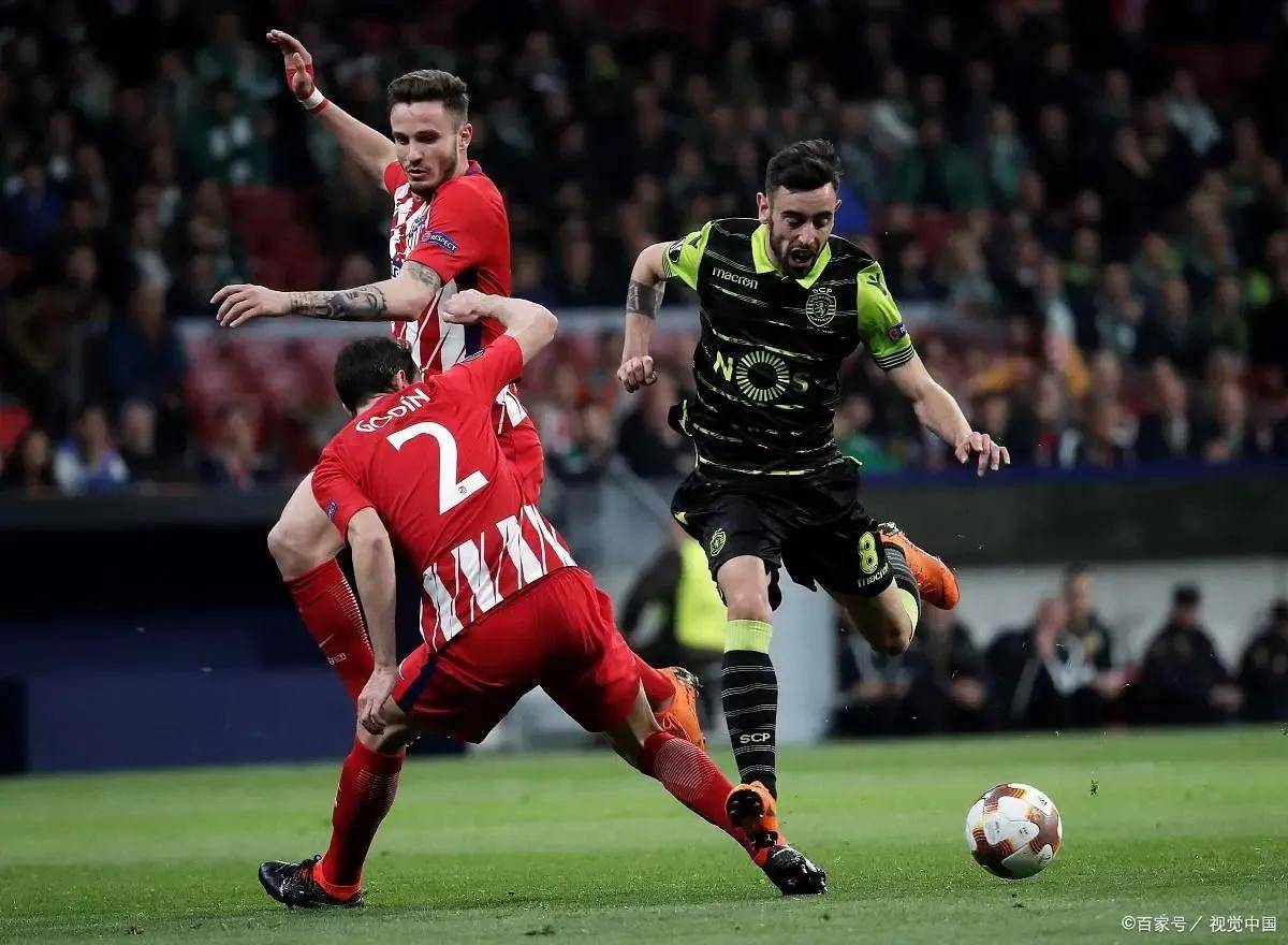 爱游戏全站 -猛龙队在哪里