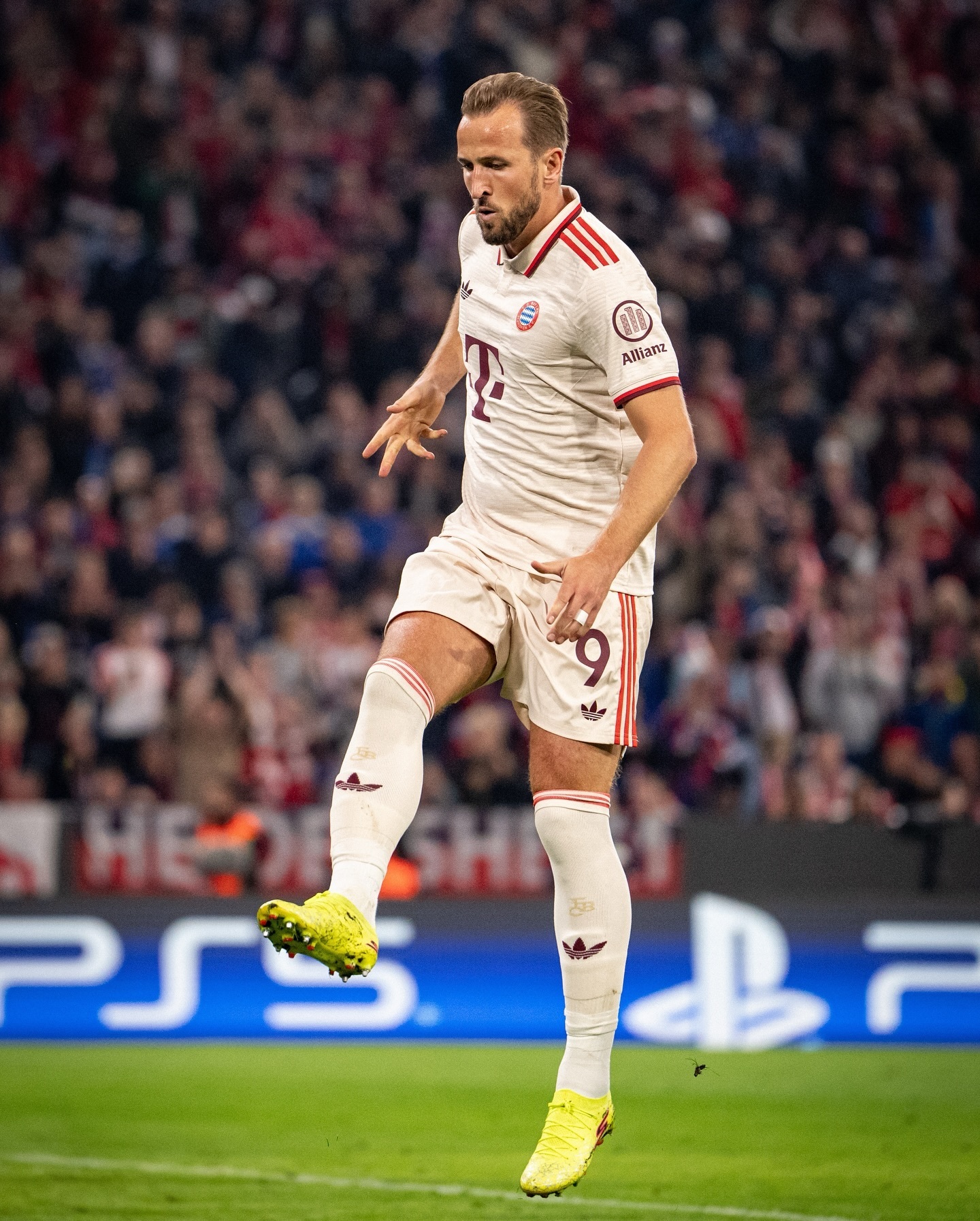 爱游戏平台 -欧冠杯完整赛程表